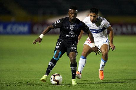 crisitian dajome 2019 idv cs