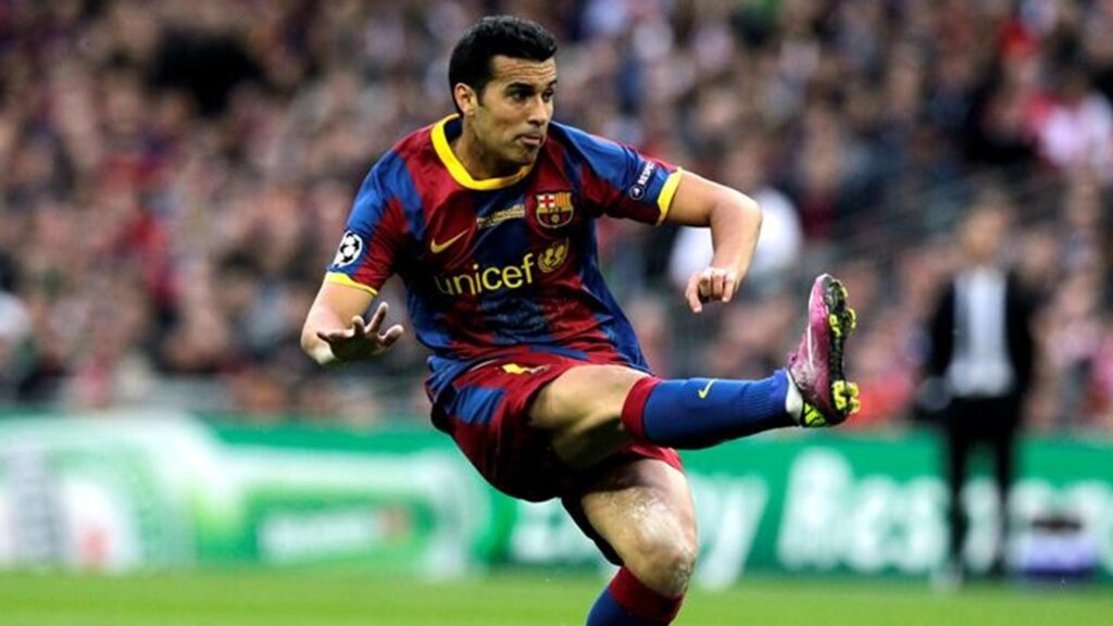 pedro 2011