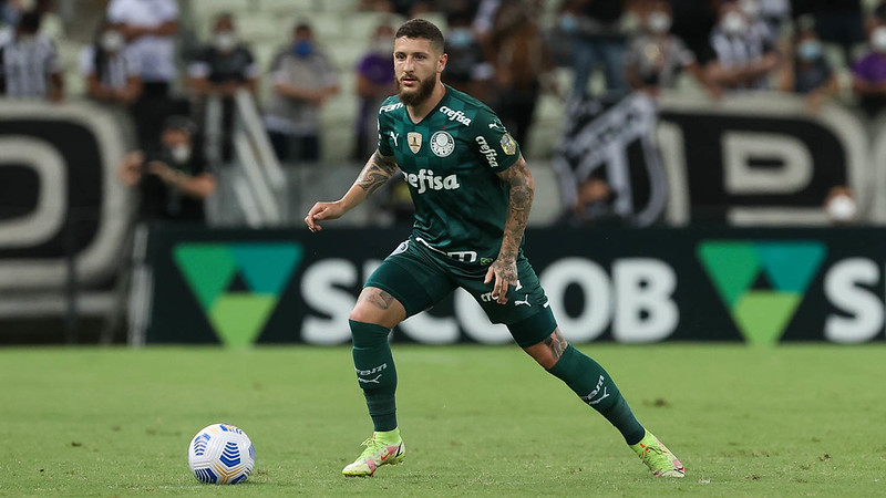 zé rafael 2021