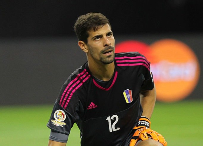 dani hernández 2016 ven ca r