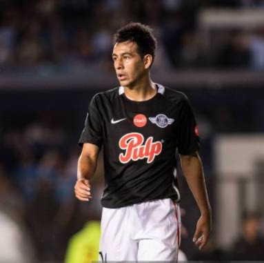 luis cardozo 2017 lib cs