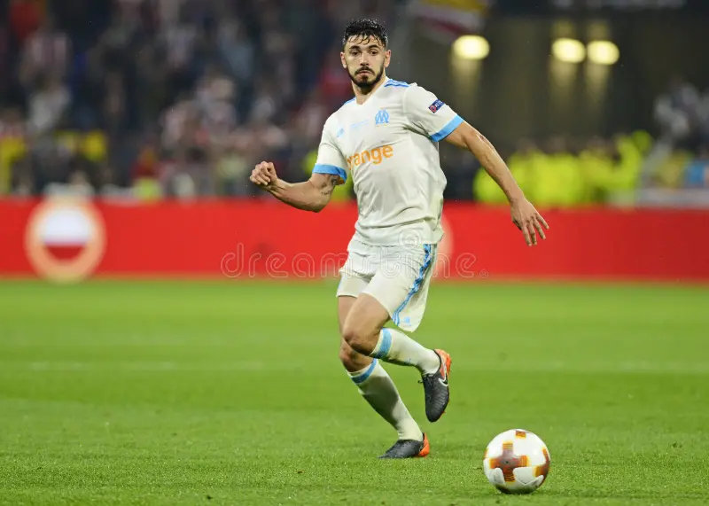morgan sanson 2018 olm eul