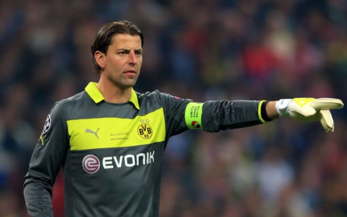 roman weidenfeller 2013 bvb ch