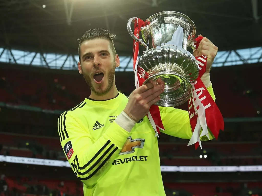 david de gea 2016 mu fa