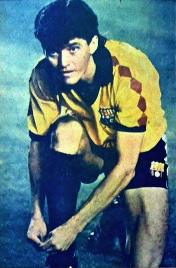 freddy bravo 1992 bar cl