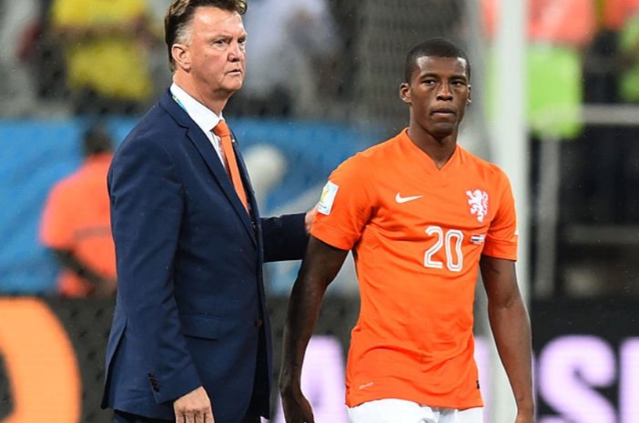 georginio wijnaldum 2014 hol cm