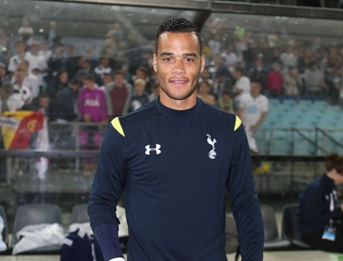 michel vorm 2015 tot car