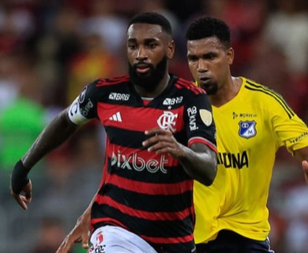 gerson 2024 fla cl r