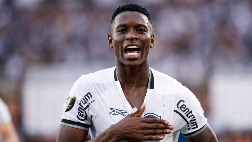 luiz henrique 2024 bot cl r