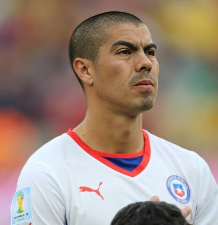 francisco silva 2014 chi cm r