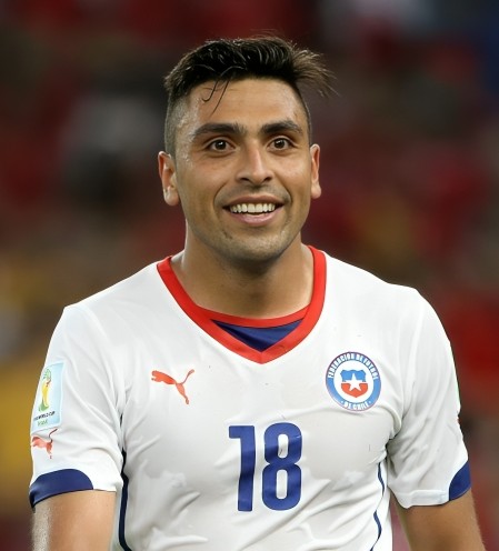 gonzalo jara 2014 chi cm r