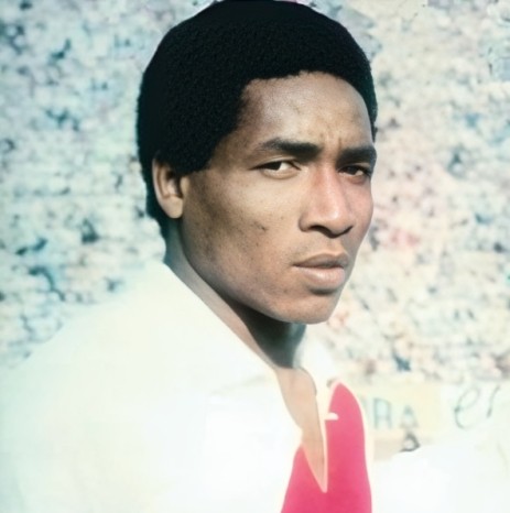 Alineación de Perú Mundial 1978 rodulfo manzo 1978 per cm r