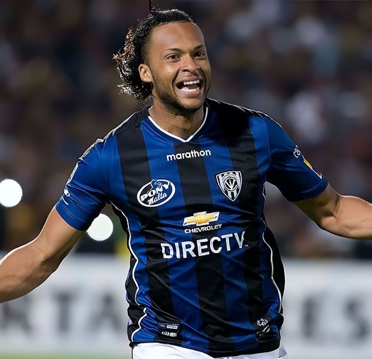 arturo mina 2016 idv cl