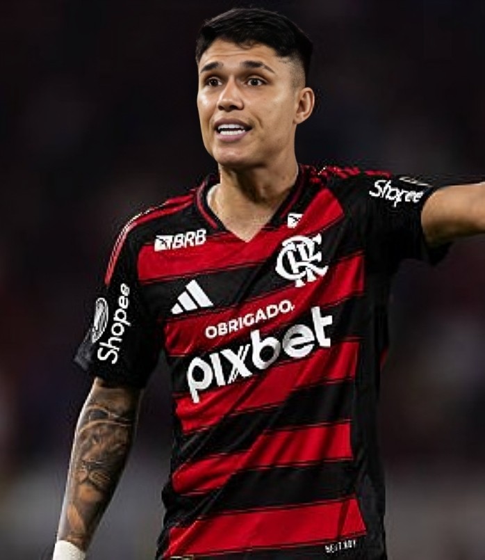 luiz araujo 2025 fla cl r