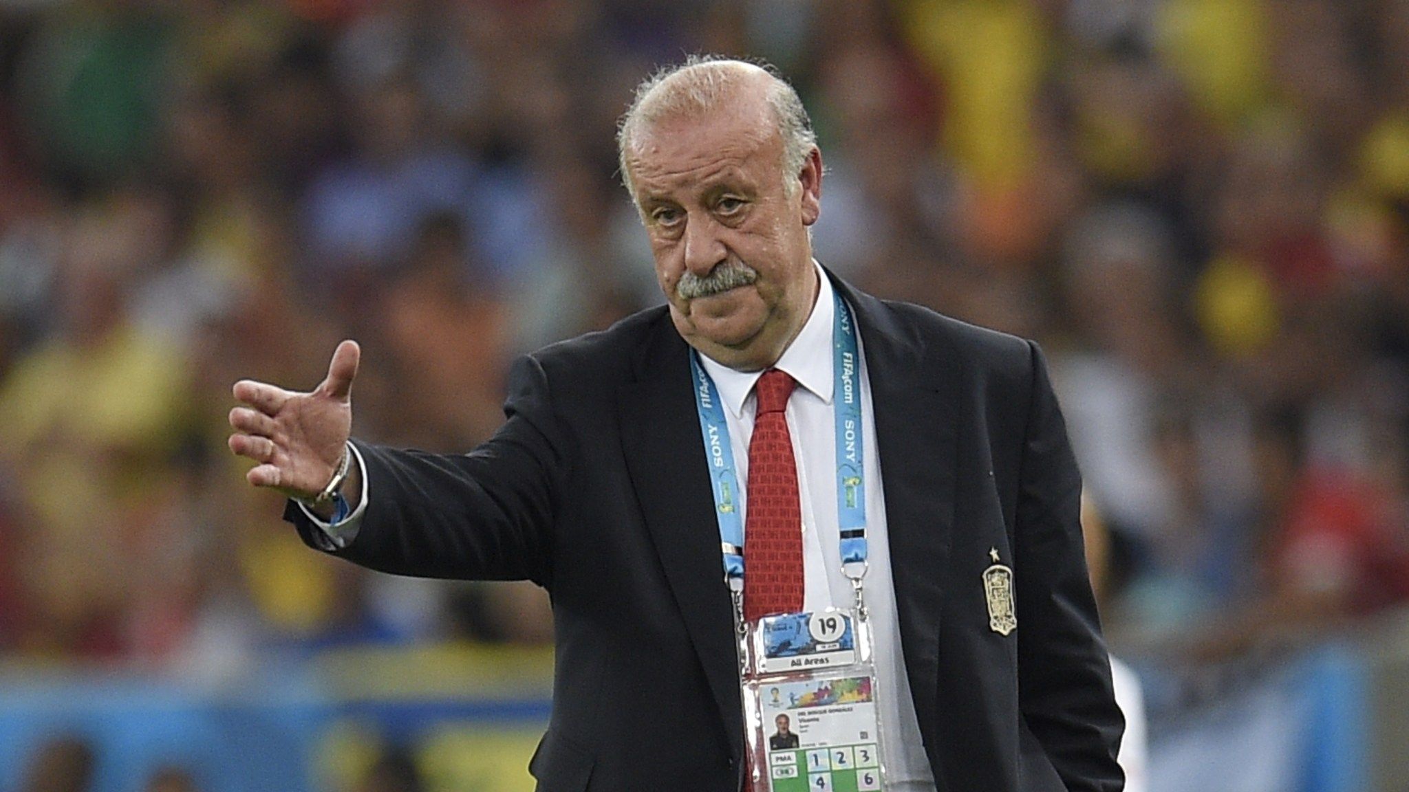 vicente del bosque portada r