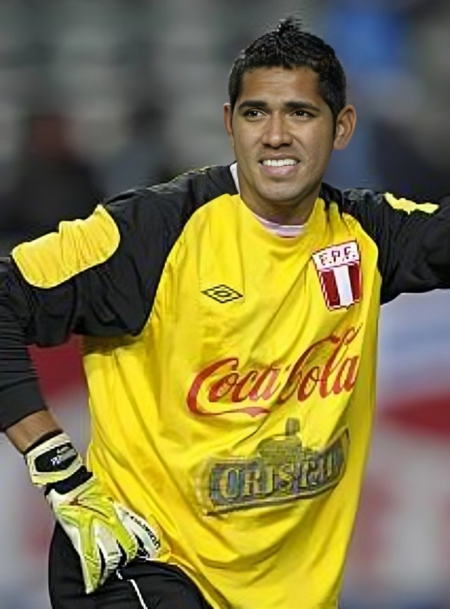 raul fernandez 2011 per ca