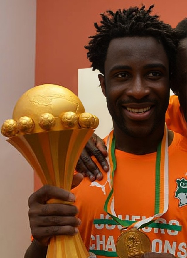 wilfried bony 2015 civ ca