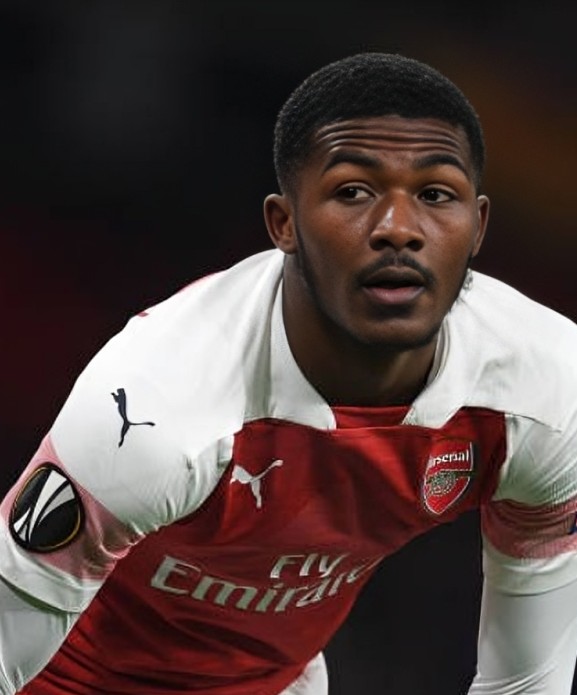 ainsley maitland niles 2019 ars eul