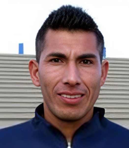 damir miranda 2014 bol cl