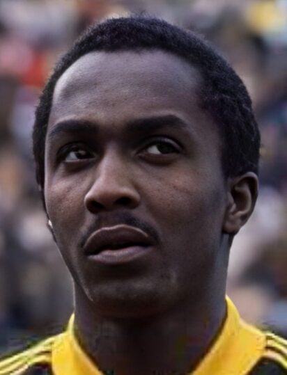 amaral 1978 bra cm