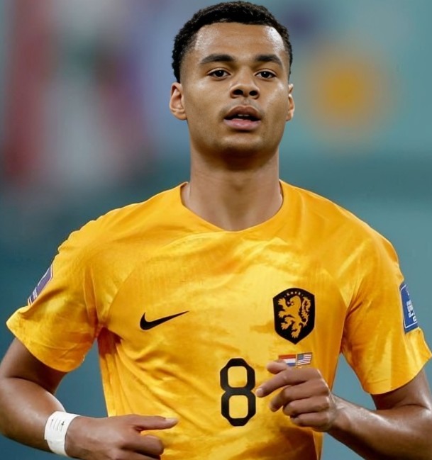 Alineación de Holanda Mundial 2022 cody gakpo 2022 hol cm
